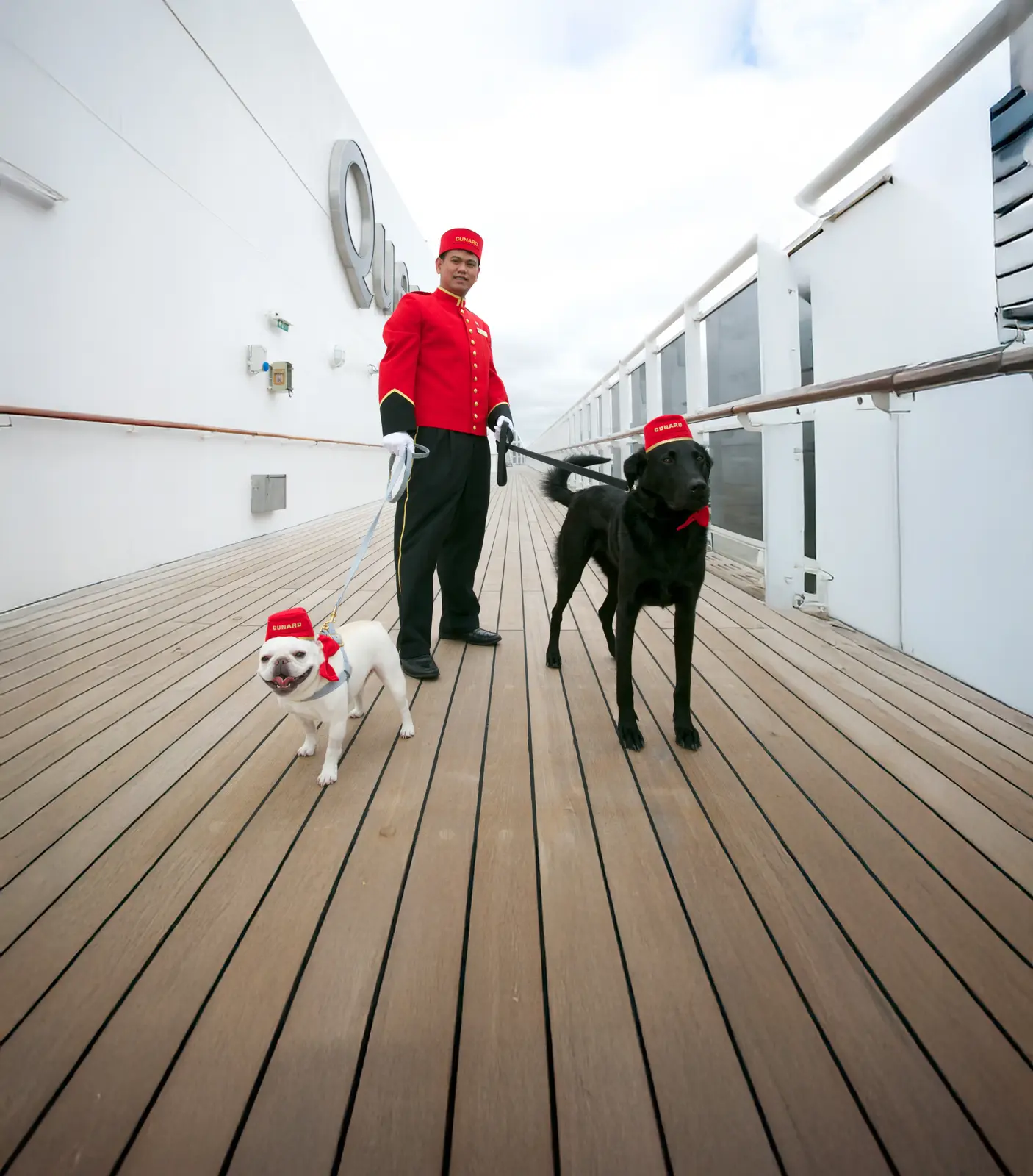 Un câine la bordul Queen Mary 2: slujba cea mai neobișnuită pe mare